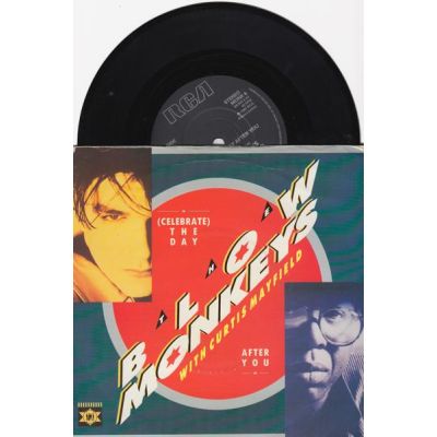 (CELEBRATE) THE DAY AFTER YOU/ BEAUTIFUL CHILD